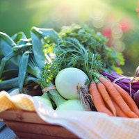 fru&vege